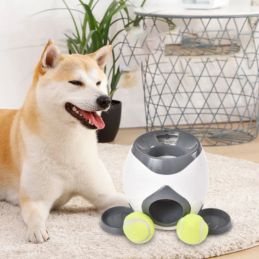 Tasty Fetch-a-Ball Automatic Dog Treat Dispenser